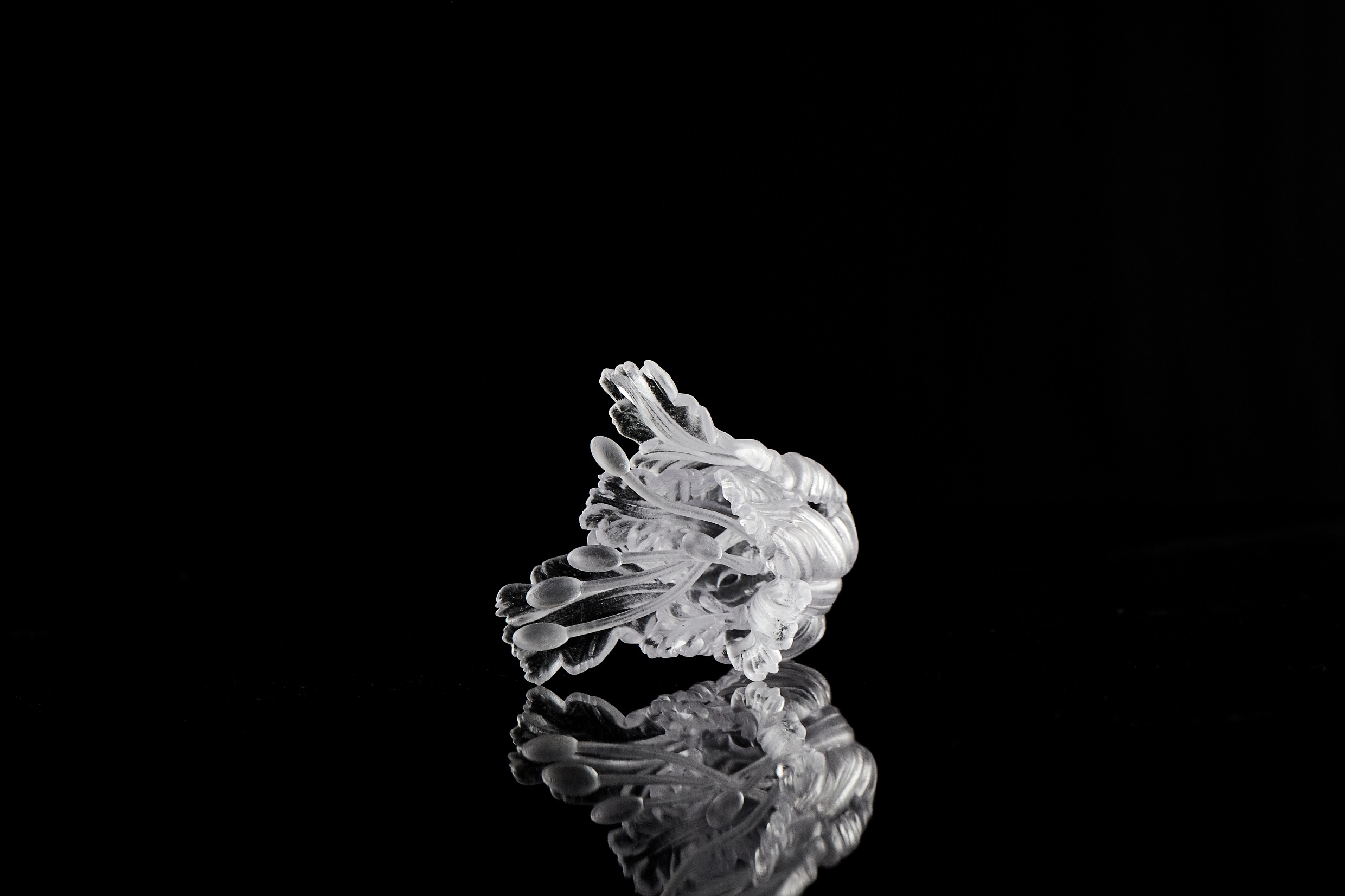 Transparent Flower-3D Printing Transparent Resin